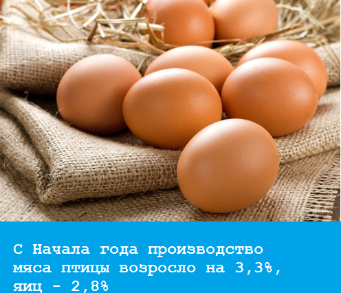 новости портала 