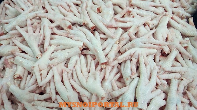 Куплю Куриные ноги Цб, любая кат. А, б, с Набережные Челны - изображение 1