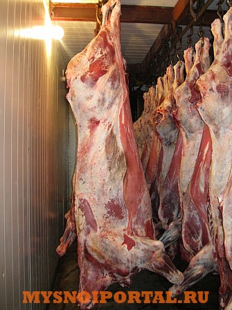 Агрызский Мясокомбинат.говядина блочная : отруба, детское питание, односортовая, полутуш Агрыз - изображение 1