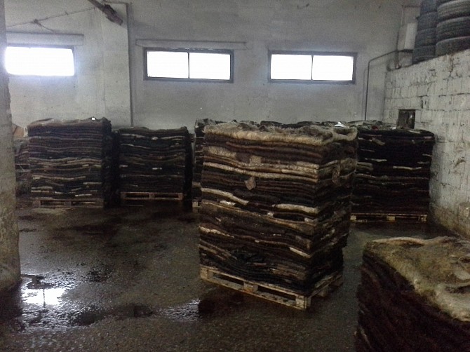 Шкуры Крс Самара - изображение 1