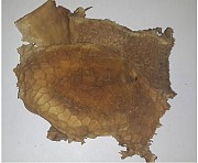 Рубец говяжий, лакомство для собак Ялуторовск