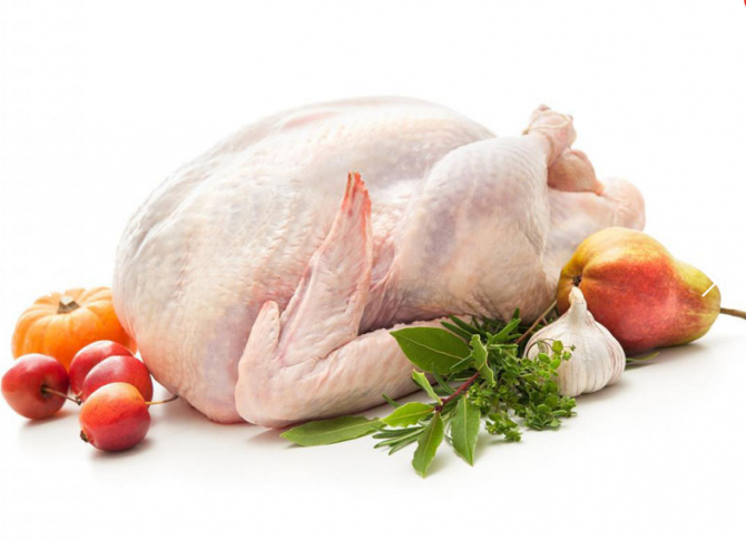 Тушка индейки 1с охл. пакет Екатеринбург - изображение 1