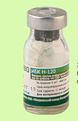 Продаем Вакцины для птицы Вольгинский - изображение 1