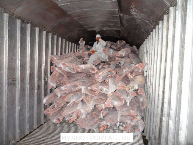 Перевозка замороженного мяса и рыбы через порты Поти и Батуми Грузия. Волгоград - изображение 1