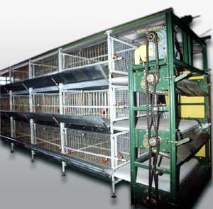 Клеточная батарея «Урал» для реммолодняка и бройлеров Новоуральск - изображение 1