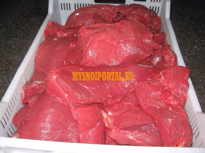 Продаю Блочная говядина ООО МПК "Салют", ГОСТ, ТУ, б/к, зам, в Москве Москва - изображение 1