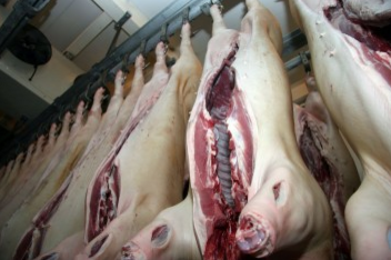 продаем свиные полутуши Комсомолец - изображение 1