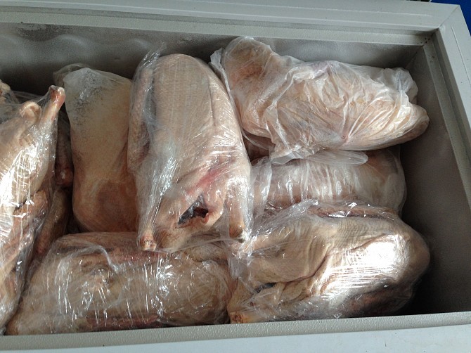 Мясо Гуся Уфа - изображение 1