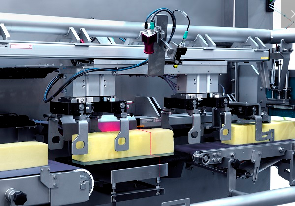 Линия для порционной нарезки и упаковки сыра Королев - изображение 1