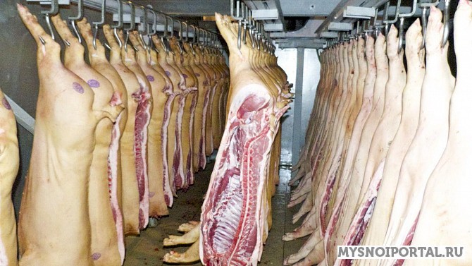 Реализуем свинину Брянск - изображение 1