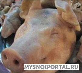 Куплю Головы свиные , Охл/Зам, от 100 кг во Владимире Владимир - изображение 1
