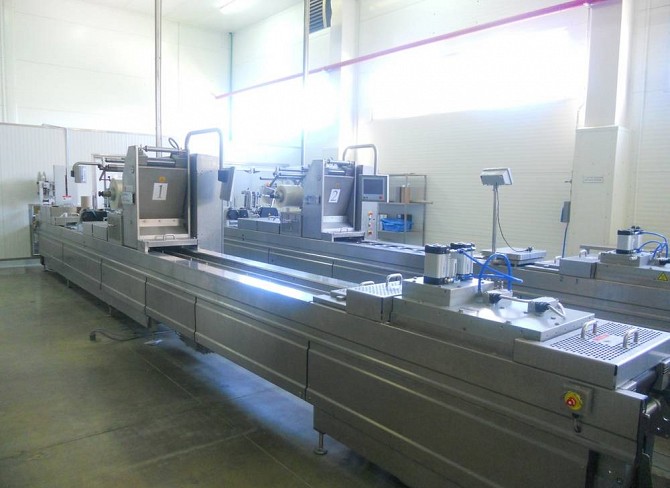 Термоформер Multivac R272 CD для упаковки со скин-эффектом Екатеринбург - изображение 1