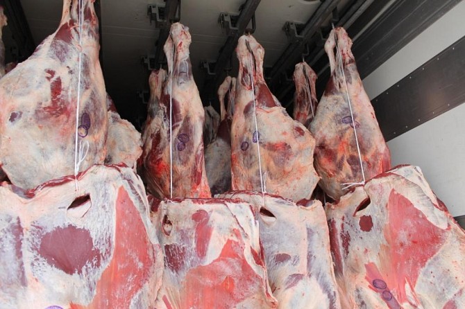 Говядина охлажденная (быки) Москва - изображение 1