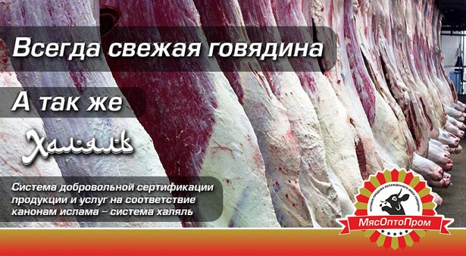 Говядина 1-й категории Казань - изображение 1