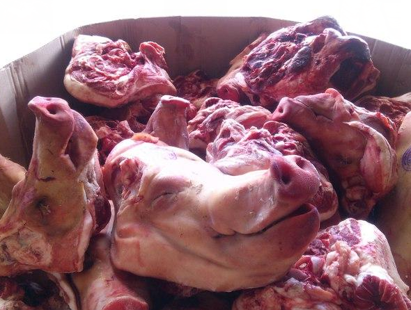 Покупаем головы свиные Иваново - изображение 1