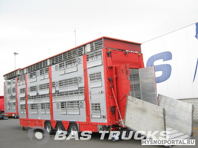 Перевозка свиней, Крс, овец Курск - изображение 1