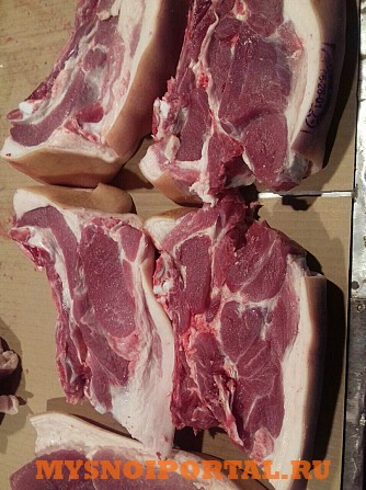 Продаем свиней живым весом 2 категория Оптом Уфа - изображение 1