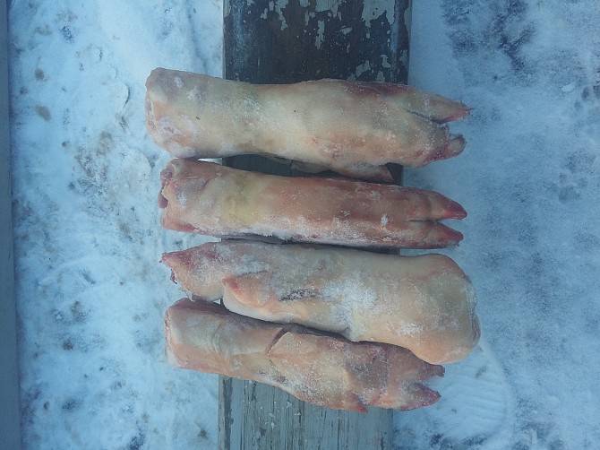 Ноги свиные задние Москва - изображение 1