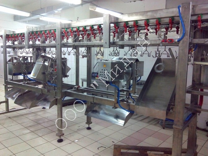 Линия автоматической разделки тушек птицы на части Миасс - изображение 1