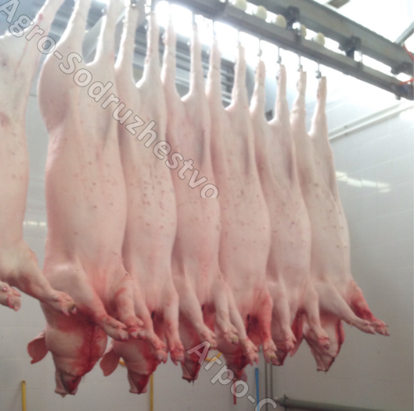 Свинина тушами или полутушами Москва - изображение 1