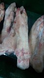продам ноги свиные Курган