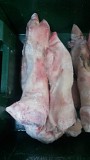 продам ноги свиные Курган