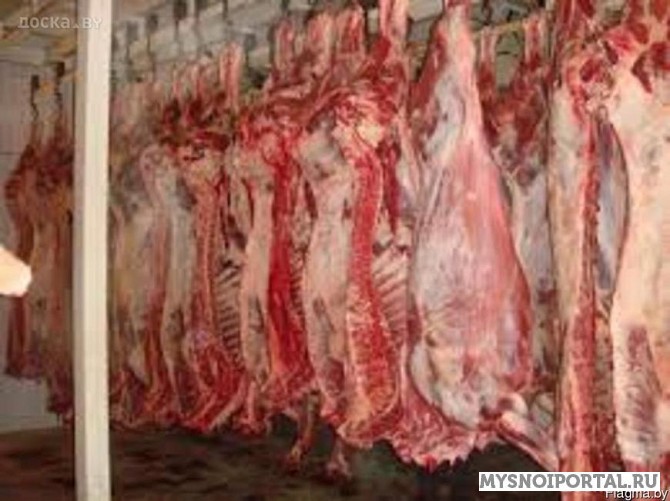 Мясо говядины. Первомайск - изображение 1
