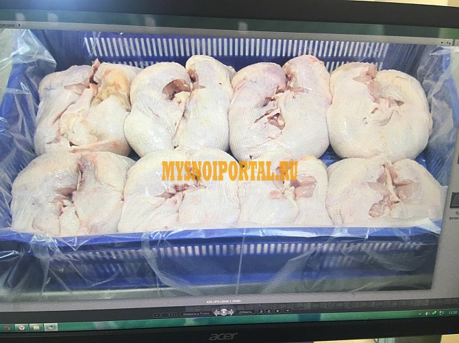 Тушка ЦБ без кости (Шаурма) и Окорочок без кости (Шаурма) охл/зам Москва - изображение 1