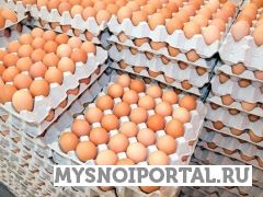 Куриное Яйцо. Ессентуки - изображение 1