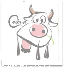 Ноги говяжьи Барнаул - изображение 1