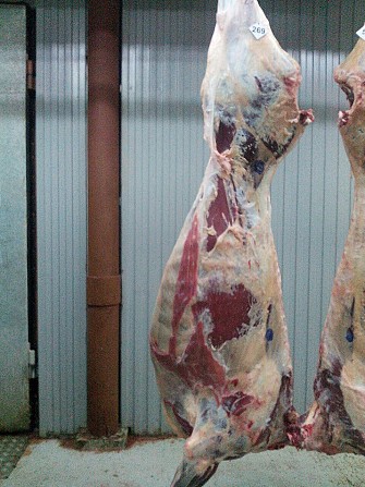 Говядина молодняк 235 руб. п/т заморозка Ижевск - изображение 1