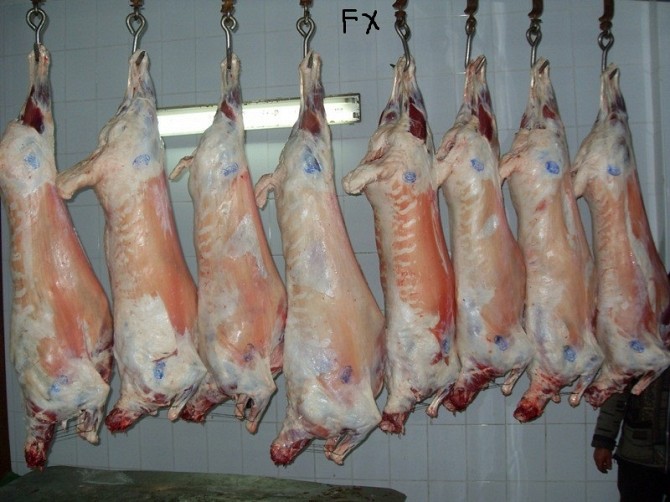 Мясо Баранина оптом Тула - изображение 1