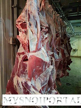 говядина бык охлажденный Ярославль - изображение 1