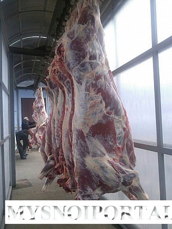 говядина бык замороженный Ярославль - изображение 1