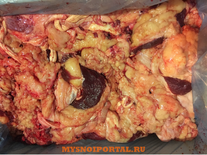 Куплю: обрезь говяжью промку Курск - изображение 1