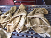 Куплю: бараньи субпродукты Ростов-на-Дону