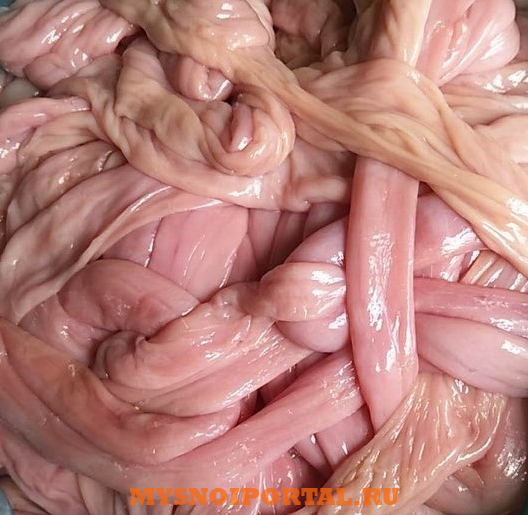 Куплю: тонкие свиные кишки , нужно 200т Ковров - изображение 1