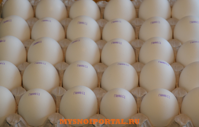 Яйцо куриное ТУ охл, в Гае Гай - изображение 1