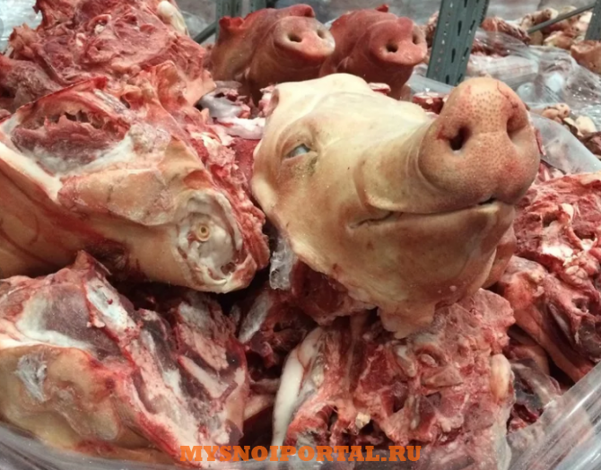 Куплю: головы Свиные Ограбленные Москва - изображение 1