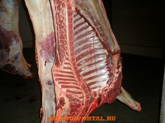 Куплю: Конину Уфа - изображение 1