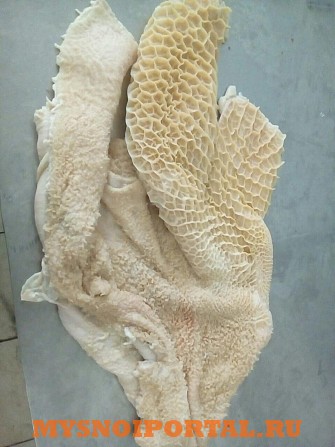 Куплю рубец гов.зам. промытый и очищенный Ижевск - изображение 1