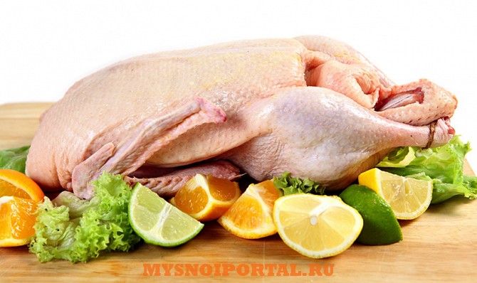 Куплю: Утку тушку зам. Москва - изображение 1