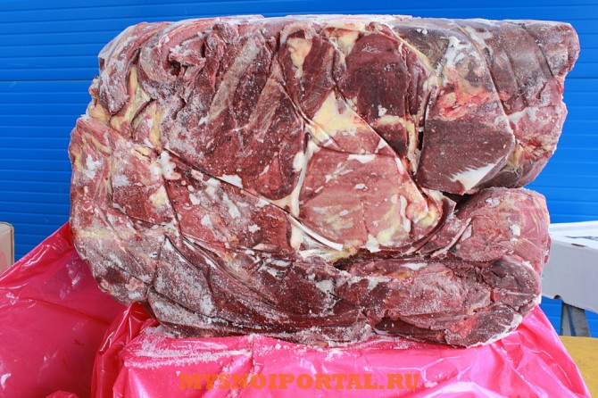 Предлагаем: Конина Переднюю четверть Ростов-на-Дону - изображение 1