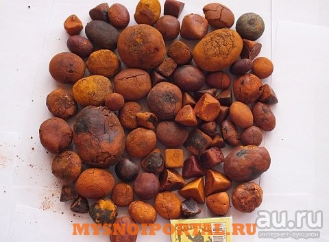 Куплю Желчный камни говяжьи от 10 кг, от 100 кг, от 1 тонны в Уфе Уфа - изображение 1