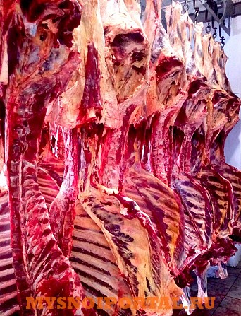 Предлагаем услуги по убою КРС в Стародубе Стародуб - изображение 1