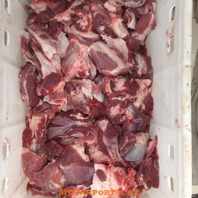 Тримминг свиной 80/20 Иваново - изображение 1