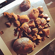 Куплю Желчь говяжья от 10 кг, от 100 кг в Уфе Уфа