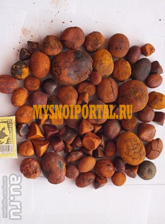 Куплю Желчь говяжья от 10 кг, от 100 кг в Уфе Уфа - изображение 1