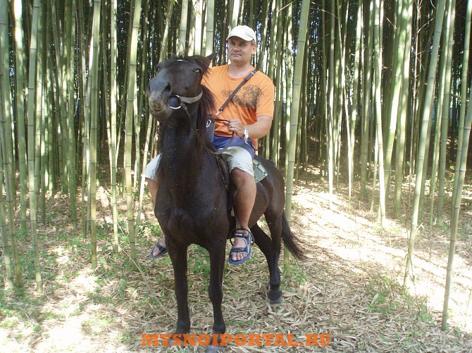 Ваша услуга по переработке оленины Санкт-Петербург - изображение 1