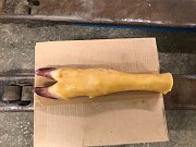 Продаю Ноги говяжьи зам от 100 кг  в Ижевске  доставка из г.Ижевск